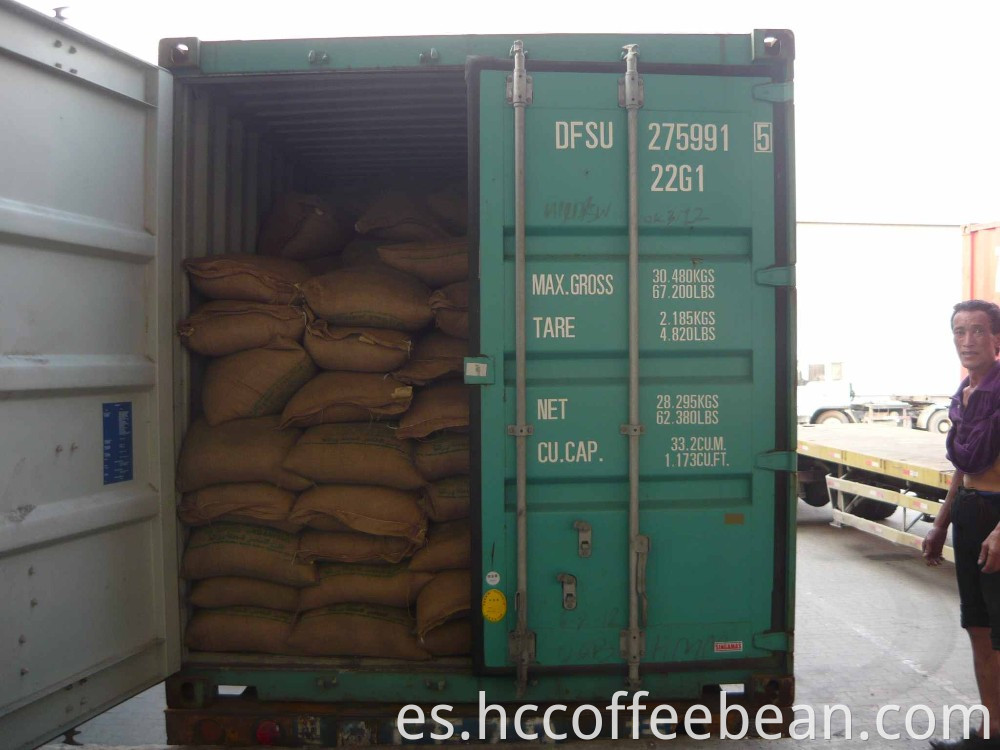 contenedor de exportación de granos de café verde